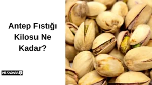 Antep Fıstığı Kilosu Ne Kadar?