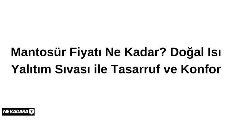 Mantosür Fiyatı Ne Kadar? Doğal Isı Yalıtım Sıvası ile Tasarruf ve Konfor